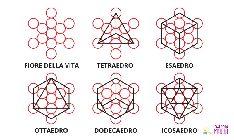 El cubo de Metatrón: el fruto de la vida