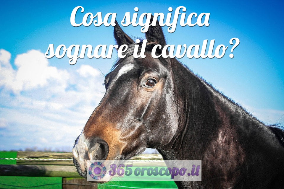 Soñar con un caballo Soñar con un caballo