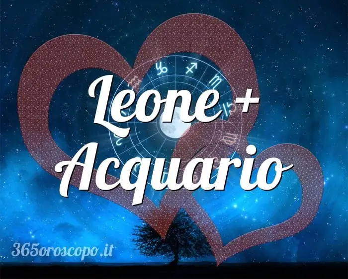Leo + Acuario Leo + Acuario