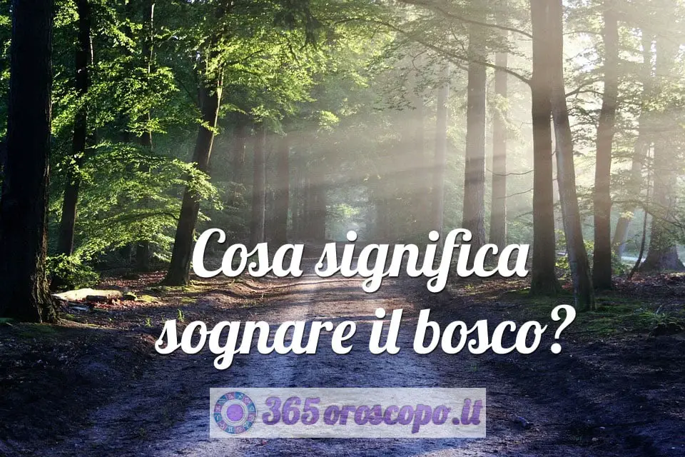 Soñar con un bosque Soñar con un bosque