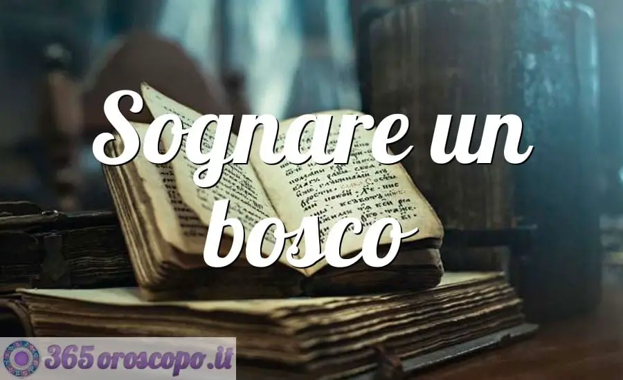 Soñar con un bosque Soñar con un bosque