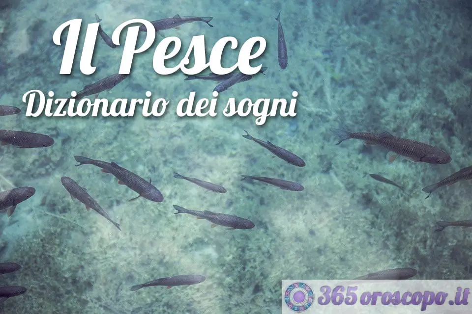 Soñar con un pez Soñar con un pez