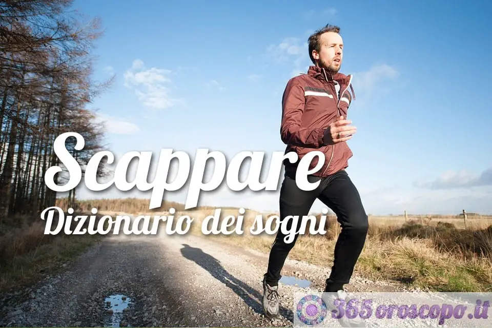 Soñar con escapar Soñar con escapar