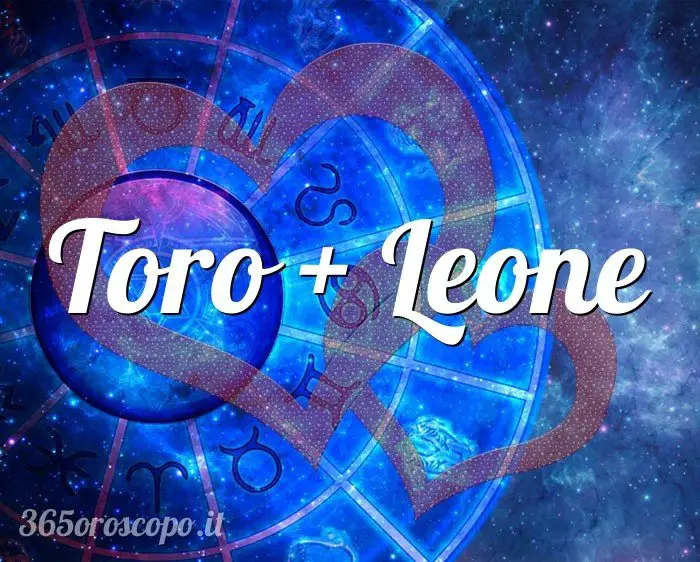 Tauro + Leo Tauro + Leo