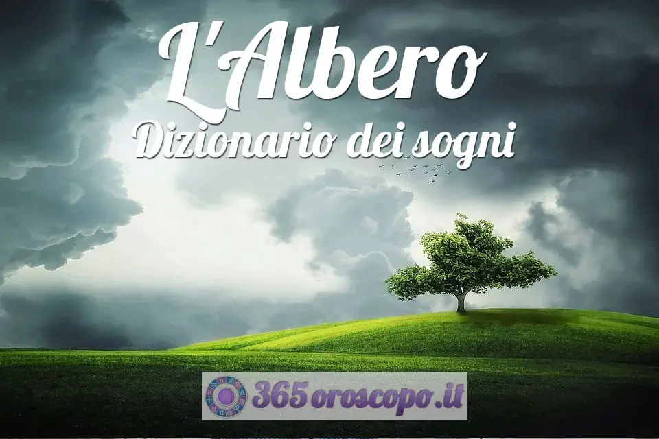 Soñar con un árbol Soñar con un árbol