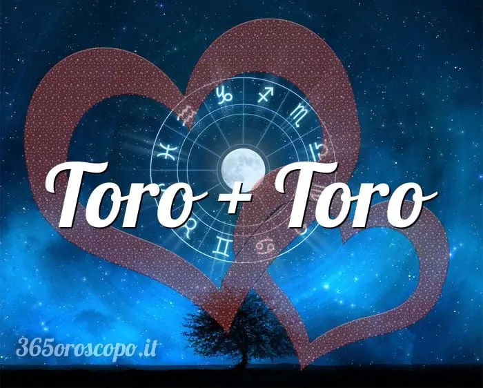 Tauro + Tauro Tauro + Tauro