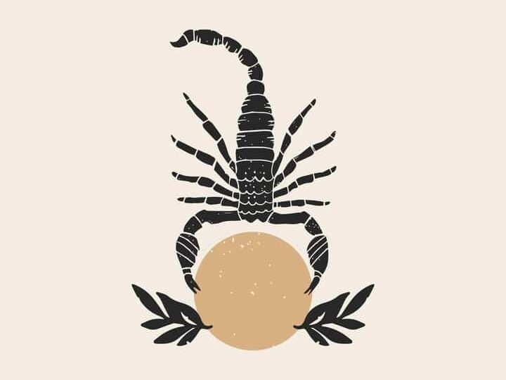 10 mejores rasgos de las personas nacidas en noviembre.