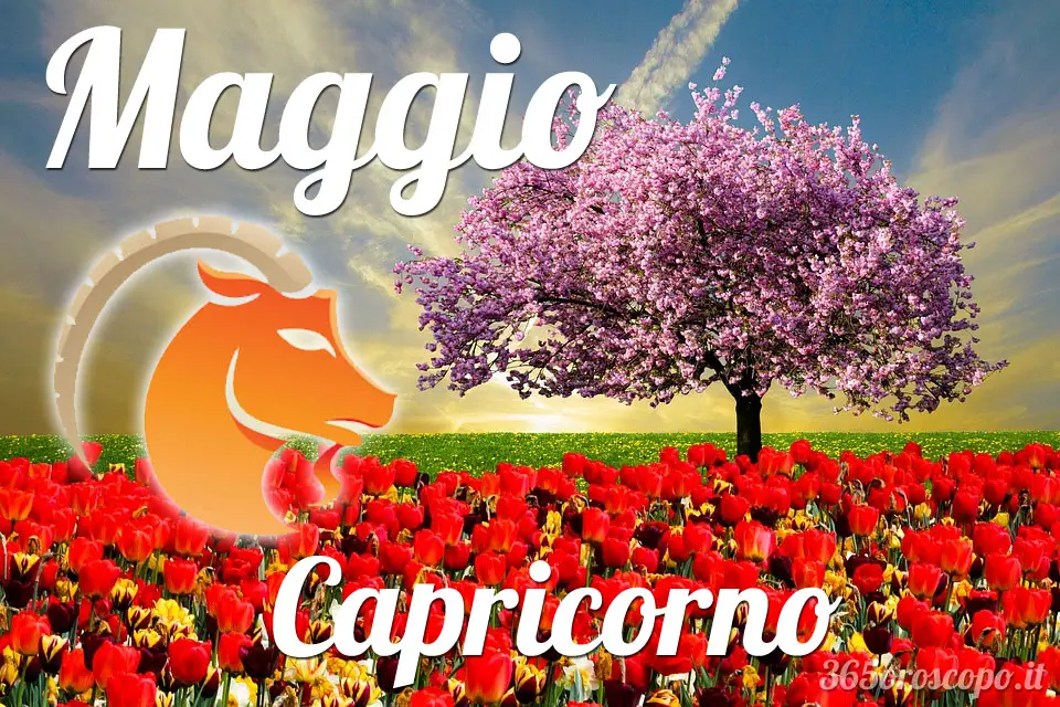 Capricornio mayo 2023