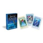 Delfines: animales tótem, amos sabios y aliados valiosos