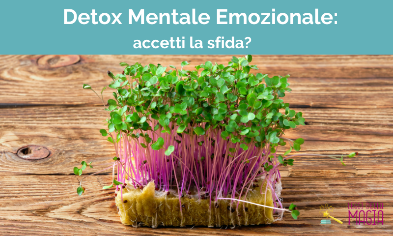 Desintoxicación Mental Emocional: ¿Aceptarás el desafío?