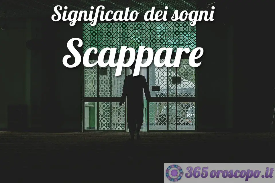 Soñar con escapar Soñar con escapar