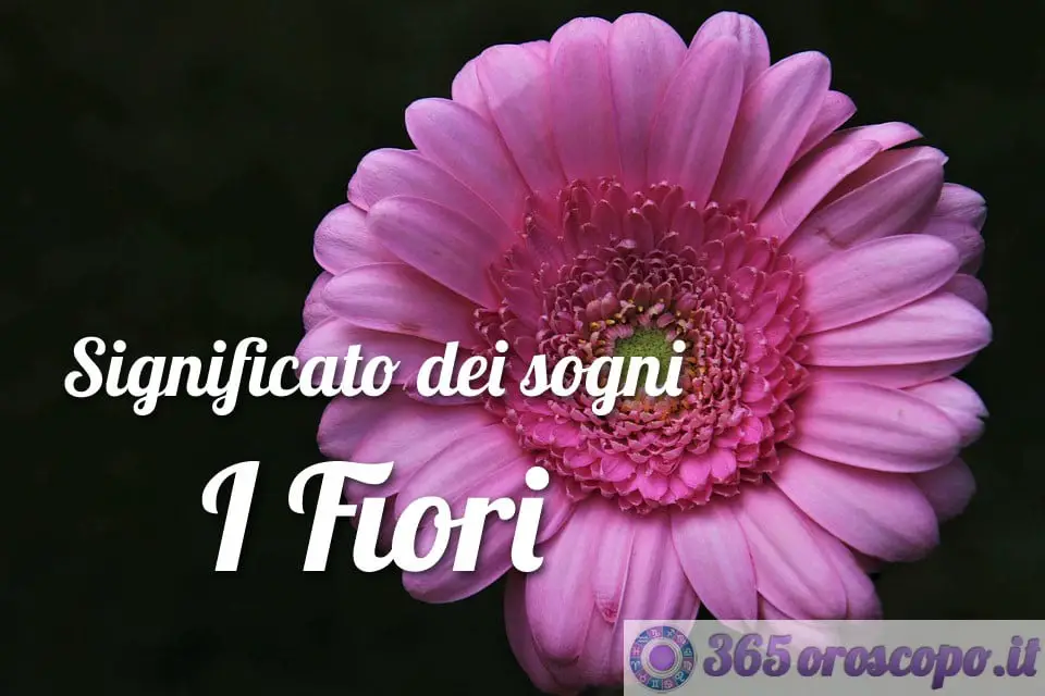 Soñar con flores Soñar con flores