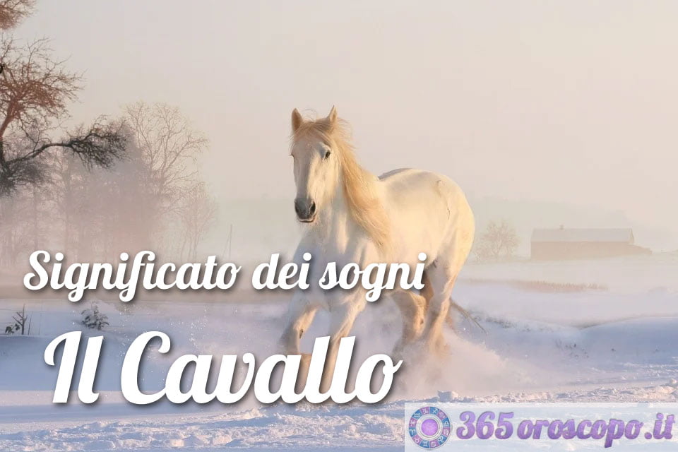 Soñar con un caballo Soñar con un caballo