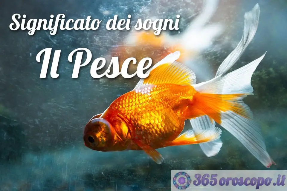Soñar con un pez Soñar con un pez