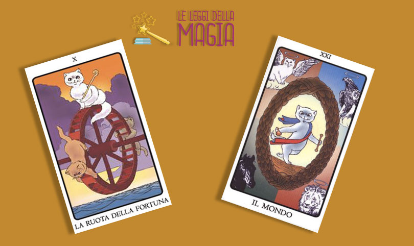 Tarot del gato de Alejandro Jodorowsky