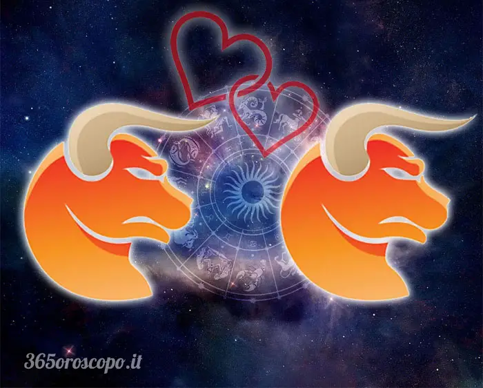 Tauro + Tauro Tauro + Tauro