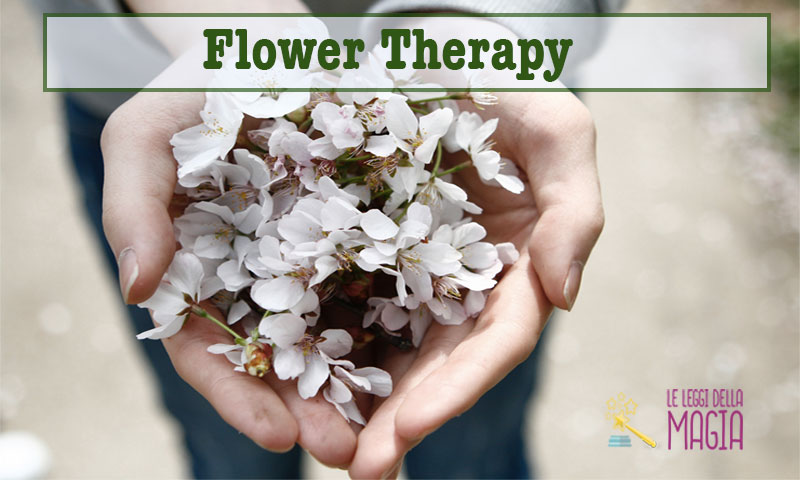 Terapia floral: las flores de hadas y ángeles