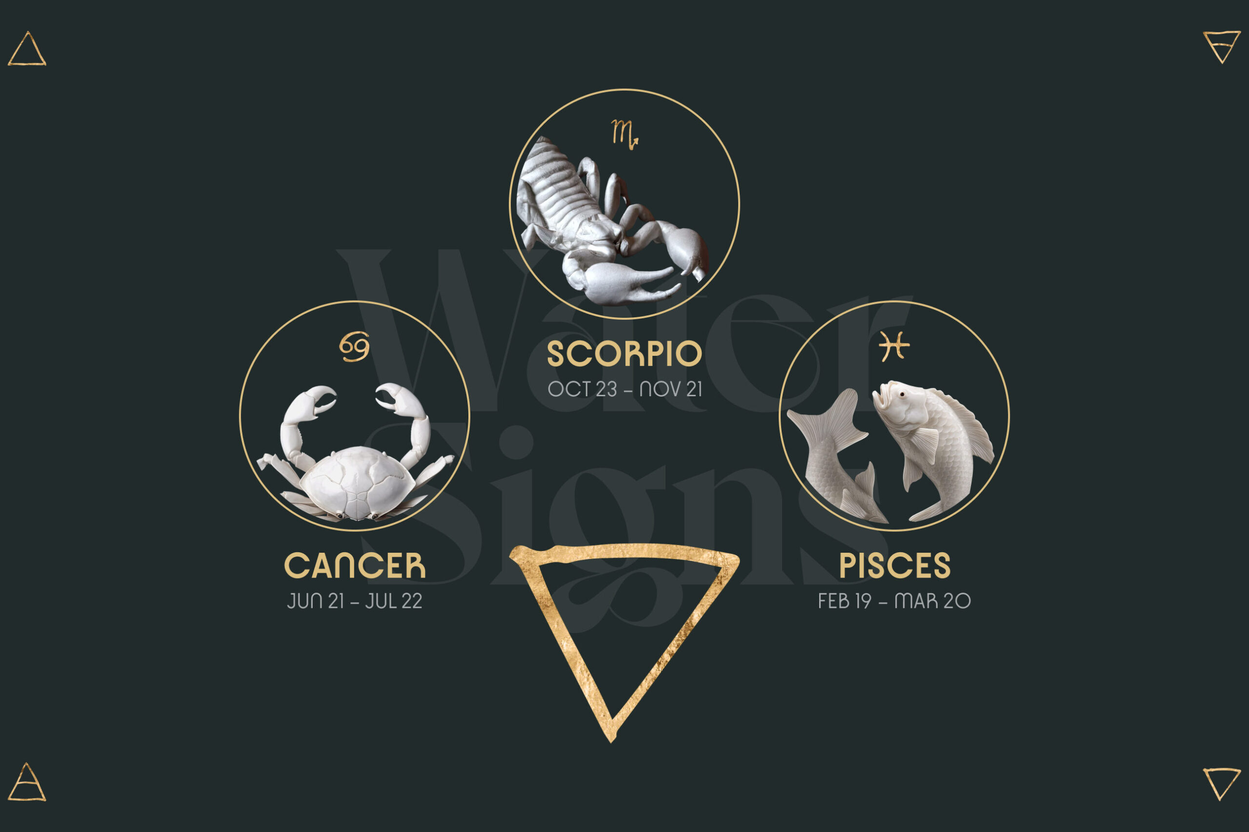 Mujer Escorpio - Hombre Cáncer |
