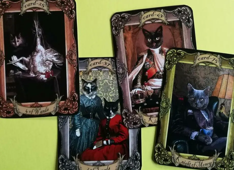 Tarot de los gatos curiosos de Grimalkin: una baraja de 80 cartas y una guía ...