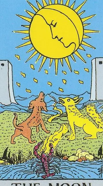 El Loco Sí o No. Las cartas del Tarot se han utilizado durante mucho tiempo para… |