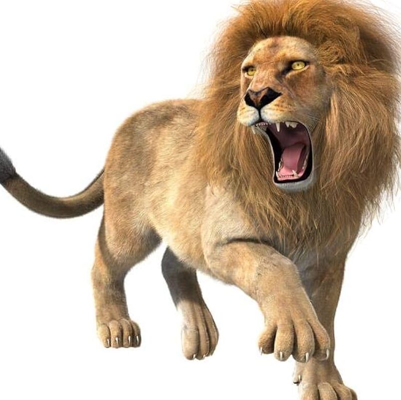 león + león León rugiendo, cuerpo completo, representación 3D, melena de león macho, carteles de león para pared, imágenes de leones, decoración de pared, imagen de leones, póster de viaje africano, Safari...