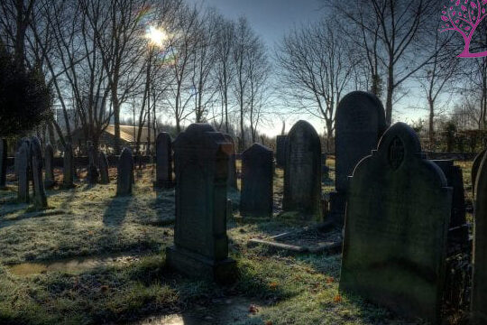 Cita de Jarod Kintz: “Tuve un sueño contigo.